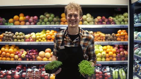 retrato del joven trabajador de la tienda caucásico guapo en el delantal de pie frente a la cámara y sonriendo alegremente mientras sostiene verduras en el supermercado grosero. frutas y verduras panel de fondo