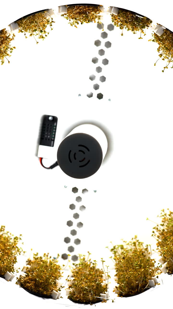 원형 미세 초록소 재배 시스템