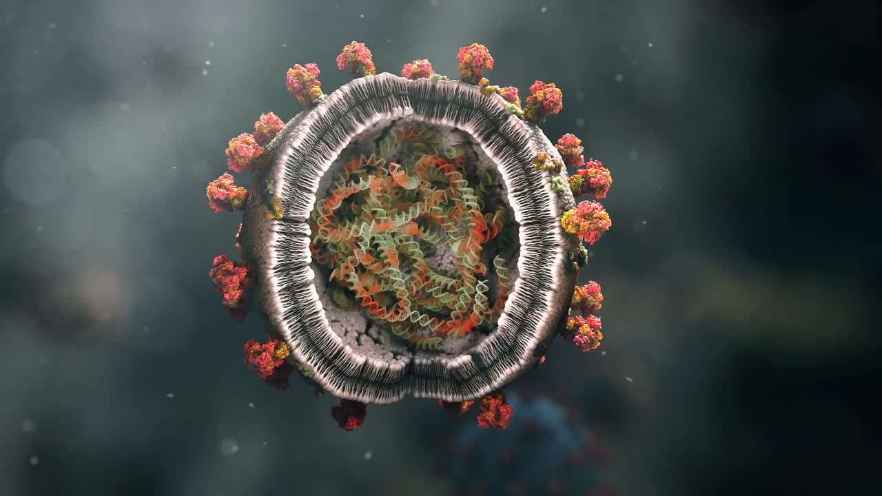 video de animación de primer plano del héroe de la celda interior
