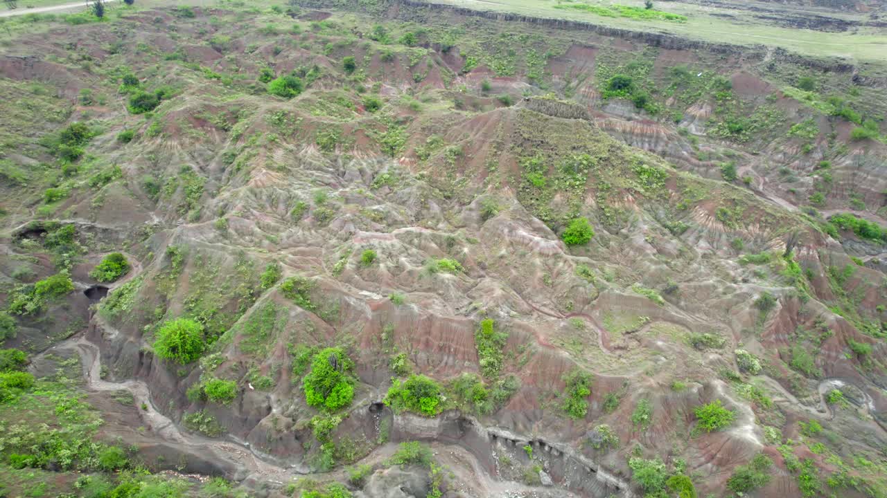 자연이 가장 도전적인 조건에서도 번성할 수 있는 능력을 증명합니다.