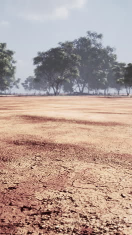 dry and cracked desert landscape