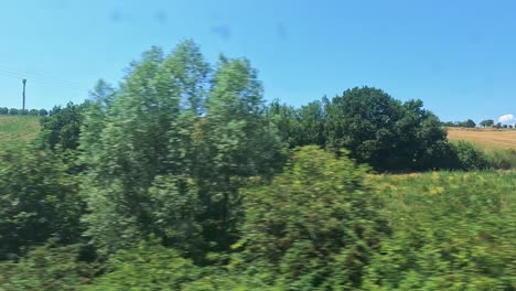 vistas panorámicas de campos y árboles desde el tren