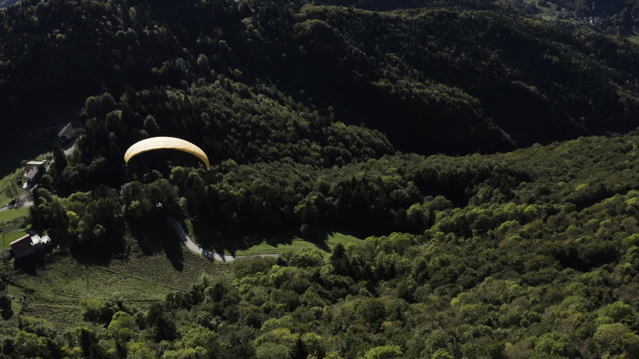 Paragliding over a valley surrounded by forest