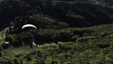 paragliding over a valley surrounded by forest