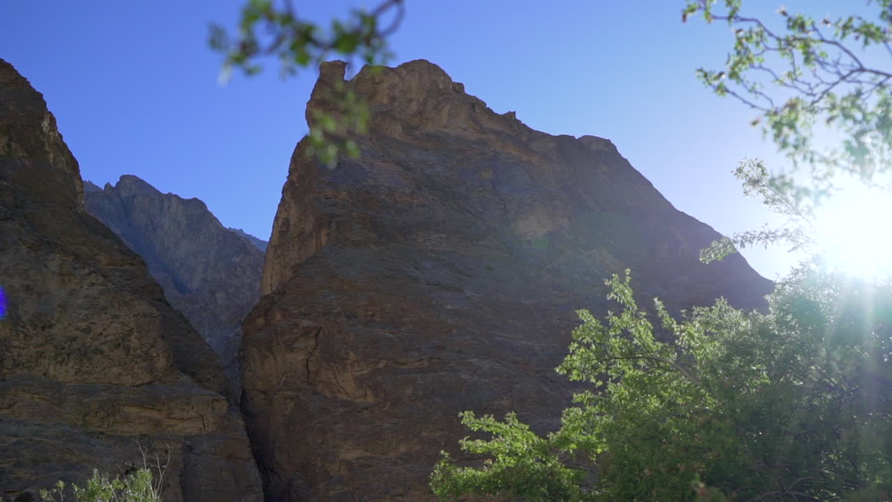 위쪽을 바라보며 태양을 배경으로 나뭇가지 뒤에서 높은 산봉우리의 모습을 드러낸다