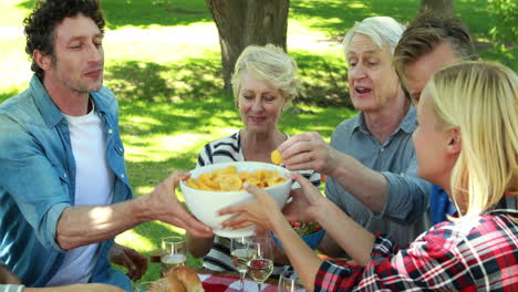 familia haciendo un picnic