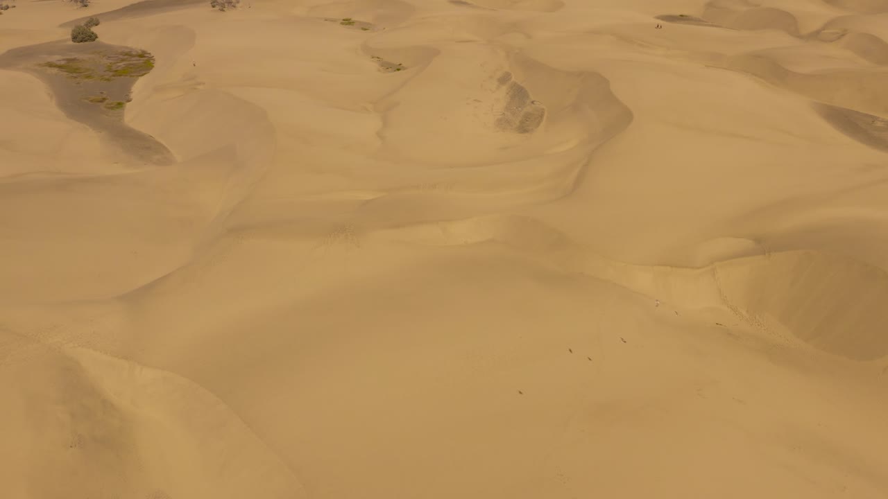 새, 두나스 데 마스팔로마스, 그란 카나리아와 함께 모래 언덕과 디저트 위의 드론 비행