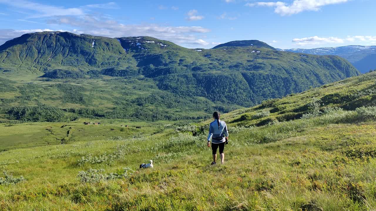 mujer y su perro caminan en un hermoso entorno natural en myrkdalen con la montaña aarmot ans volefjell en el fondo - clip de verano estático