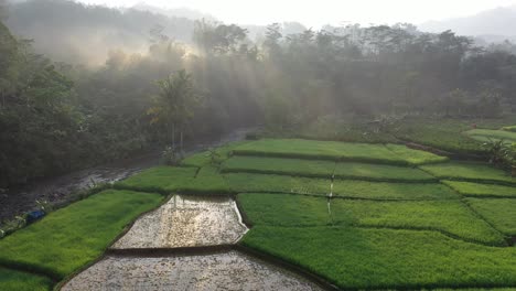 misty sunrise over a mountain valley