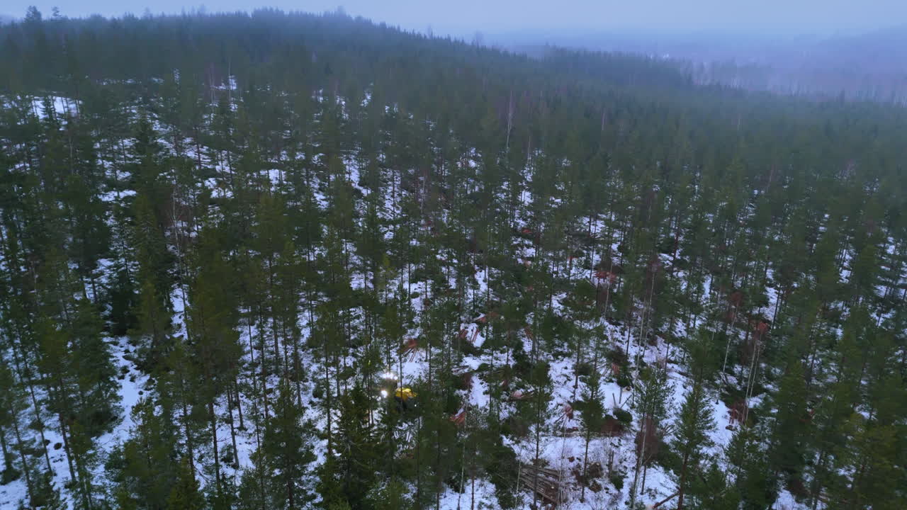 Hakkuukone valot päällä aamunkoitteessa kaatamassa puita lumisessa metsässä, laaja ilmakuva.