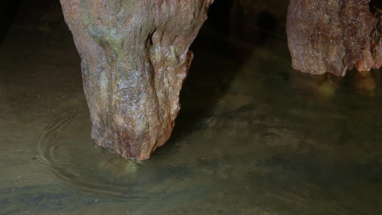 Ancient stalactites hang above shallow underground water, their mineral-rich surfaces reflecting in the rippling pool below. Static wide angle shot captures the cave formations from a fixed position.