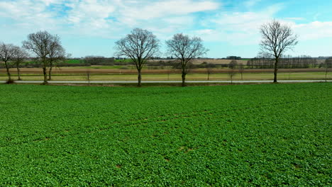 Vista-Aérea-Del-Campo-Agrícola-Verde-Con-Carretera-Que-Atraviesa-El-Campo