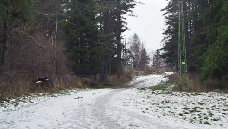 A beautiful nature video of a snowy mountain road, pine, fir and birch trees on the Vitosha mountain in Sofia, Bulgaria
