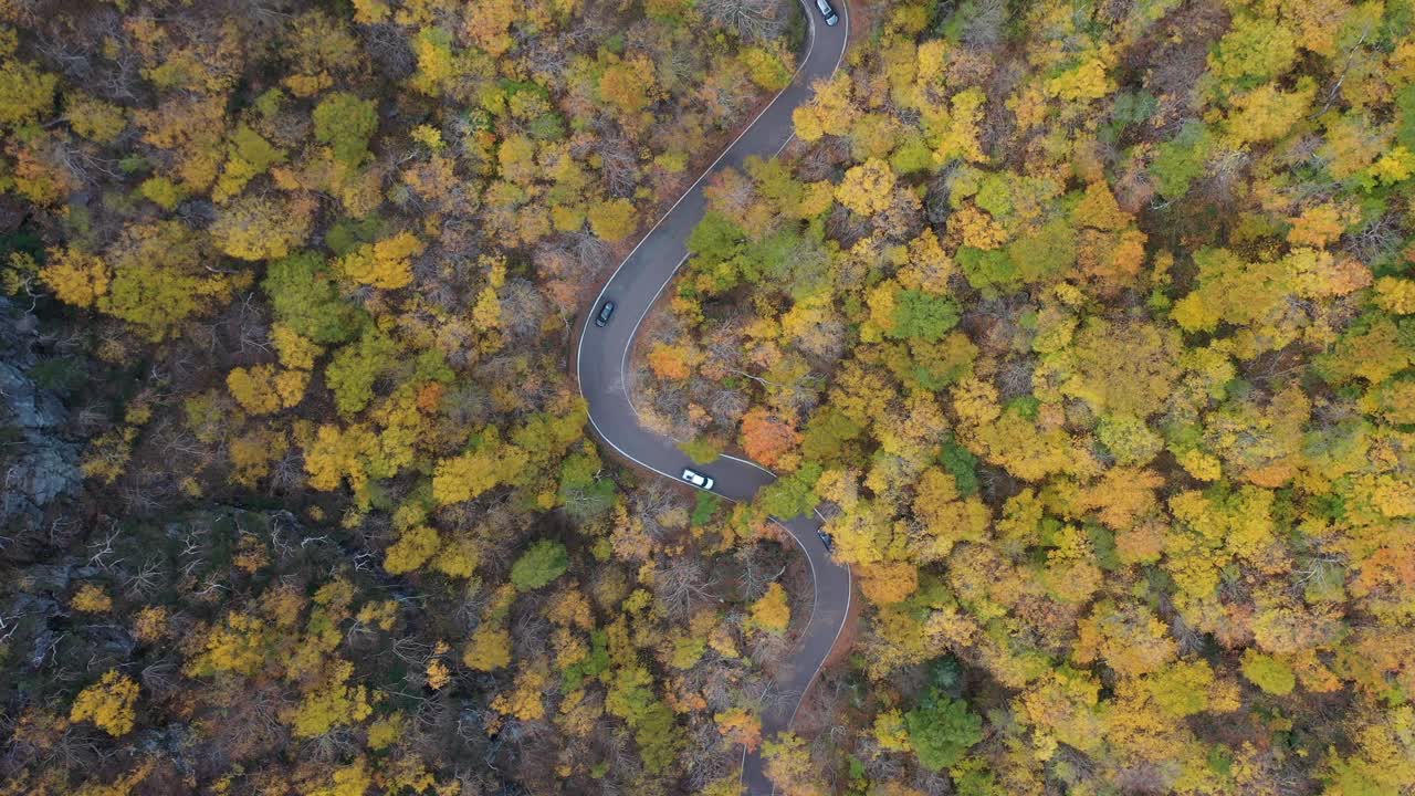 вид с высоты птичьего полета на движение по извилистой дороге посреди леса в осенней листве