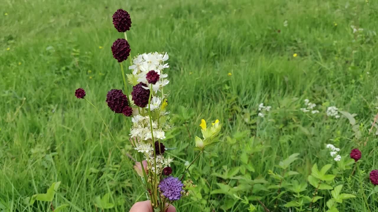 바람 부는 날 핸드헬드 야생화 꽃다발