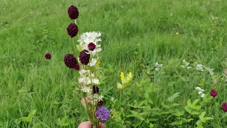 Bouquet-of-wild-flowers-handheld-on-a-windy-day