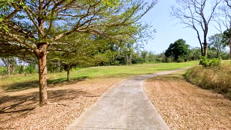 scenic golf course pathway with trees and greenery