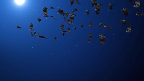 ночь хэллоуина синее небо фоновая анимация с голубым небом, луной, туманом, летающими летучими мышами.