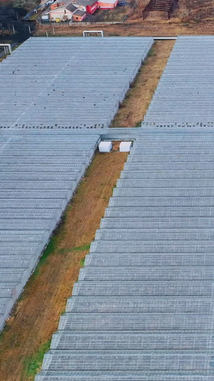 Greenhouses farming aerial top view, vegetable cultivation. Agriculture industry. Glass roofs greenhouses field background. Vertical video