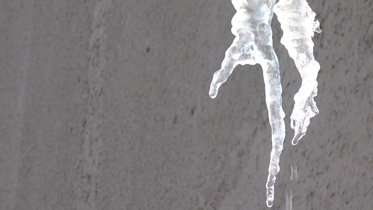 The water dripping from icicles. Shooting in the winter