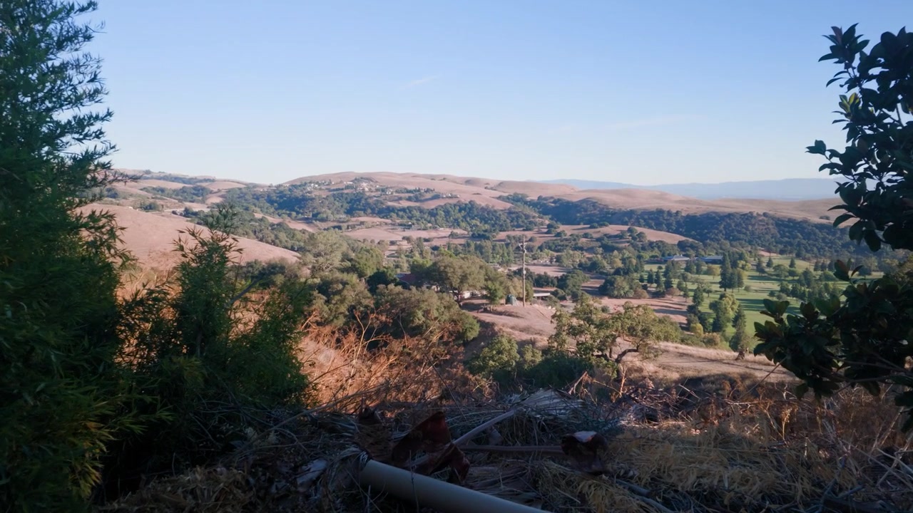 Movimento in avanti della telecamera che si avvicina a una vista panoramica in salita, circondata da erba secca e vegetazione naturale sul Monte Drago.