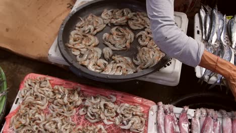 panning across a selection of fish at a stall