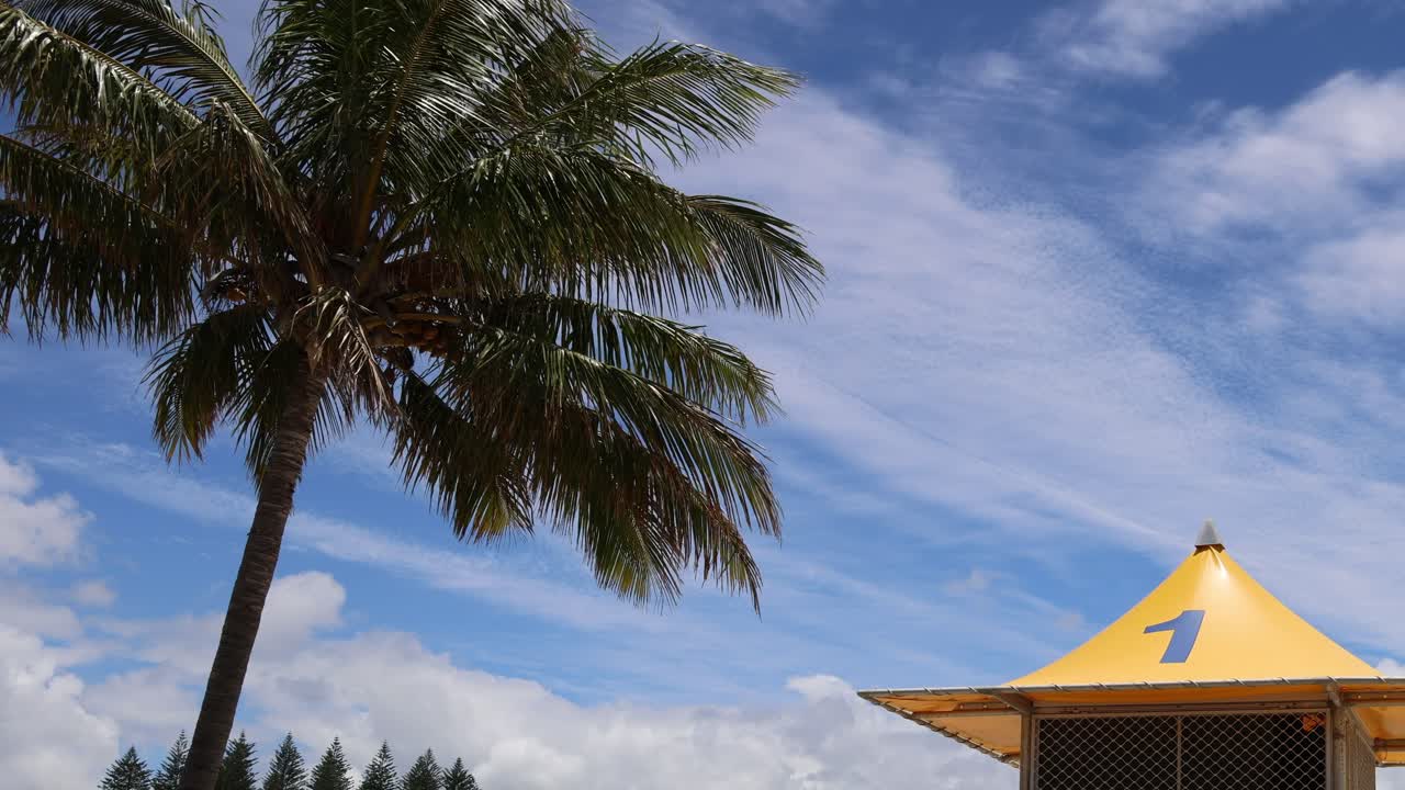 Fotogrammi sequenziali che mostrano una torretta del bagnino e palme