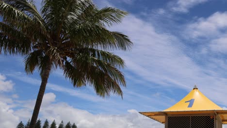 cuadros secuenciales que muestran una estación de socorristas de playa y palmeras
