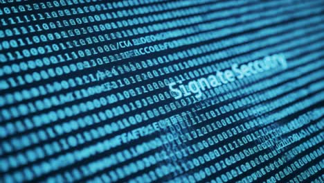 a close-up exploration of a digital display containing binary code and text, highlighting concepts of information security and data representation
