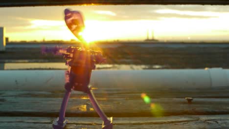 dancing toy in the sun
