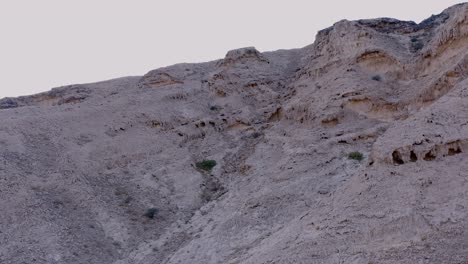 imágenes de drones en 4k, vista aérea de la meseta de rocas fósiles en el desierto de mleiha con ondas de arena, paisaje geológico de la esfinge en las dunas de arena del desierto en los emiratos árabes unidos, videos de drones