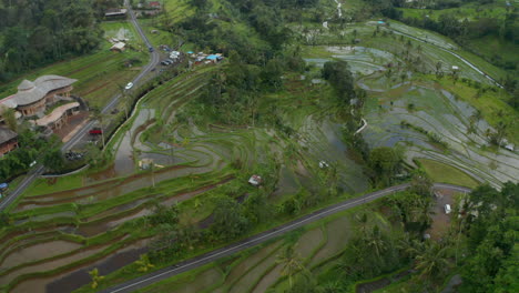 Coches-Circulando-Por-La-Carretera-Rural-A-Través-De-La-Campiña-De-Bali-Con-Arrozales-De-Regadío.-Vista-Aérea-De-Campos-Agrícolas-Húmedos-En-Indonesia