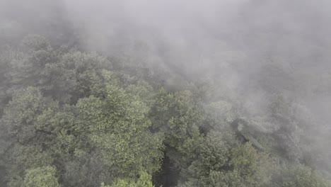 fog blows over the treetops aerial in appalachian mountain and blue ridge mountains near boone nc, north carolina