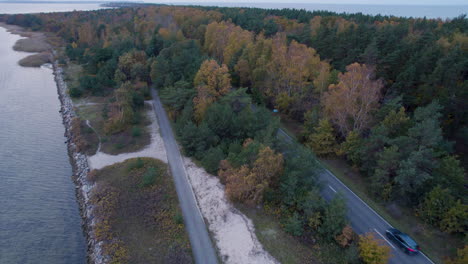 persiguiendo el avión no tripulado vista de la carretera a través del bosque, colores de otoño