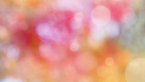 Abstract spring background with bokeh