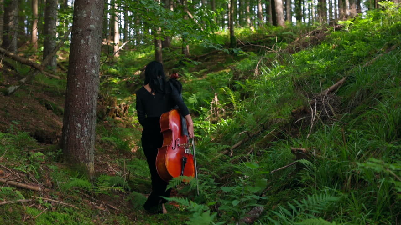 Young woman with cello in woods. Back view of a musician in long black dress walking in the forest. Musical instrument in female's hand on nature background.