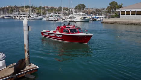 orange county sheriff boat turning in dana point harbor, in southern california