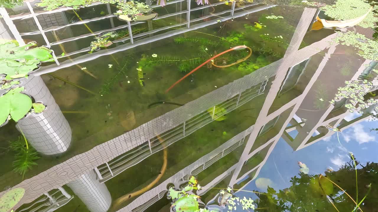 건물의 반사선이 물 표면을 가로질러 파동됩니다.