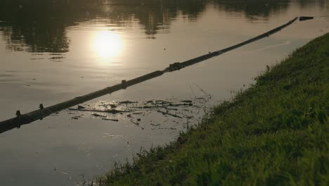 Sunset-reflecting-on-a-calm-lake-with-a-grassy-shore-and-a-floating-log-at-Jarun-Lake,-Zagreb