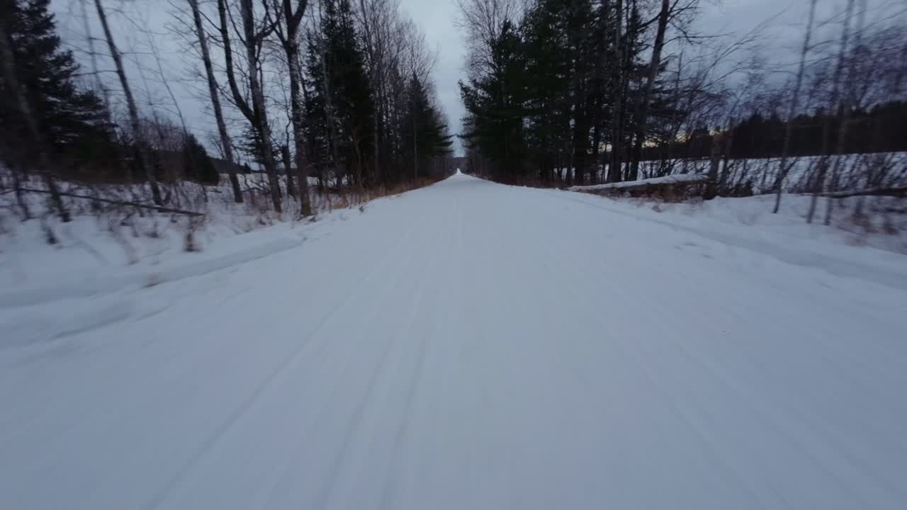 Snowy Road Through Winter Forest