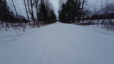 snowy road through winter forest
