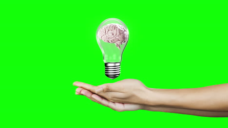 manos que presentan una bombilla con cerebro