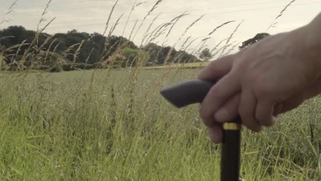 Holding-a-walking-stick-with-countryside-landscape-background