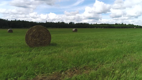 hay bales in a green field