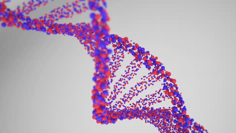 3D-Rendering-Abstrakter-DNA-Strang-Aus-Roten-Und-Blauen-Kugeln-Auf-Weißem-Hintergrund