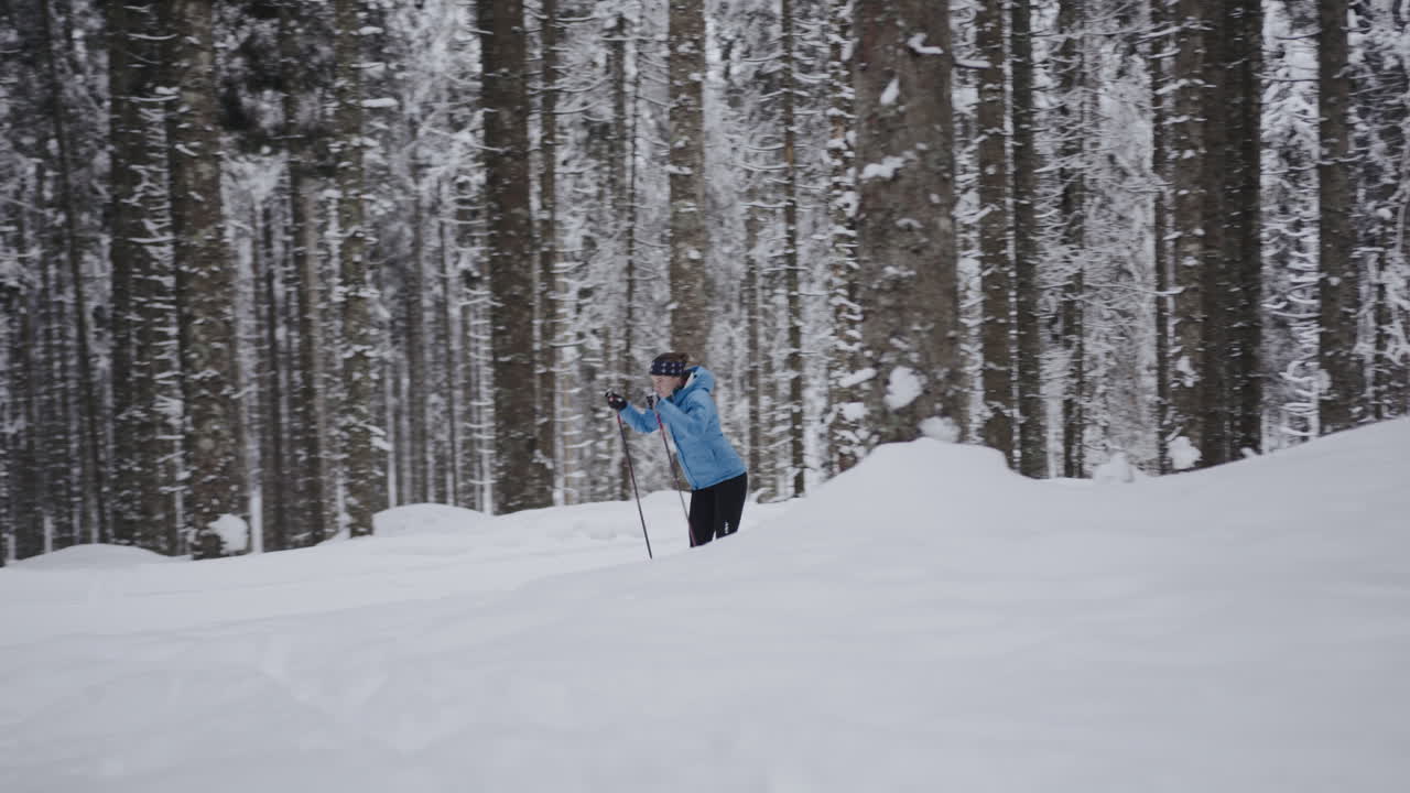 Winter Scenery with Nordic Walking