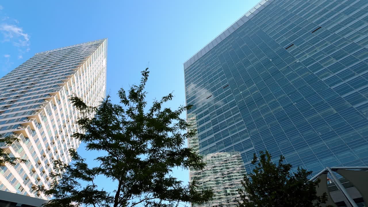 Trees and high-rises at the backdrop of blue sky. Low angle view at the towers of glass and metal