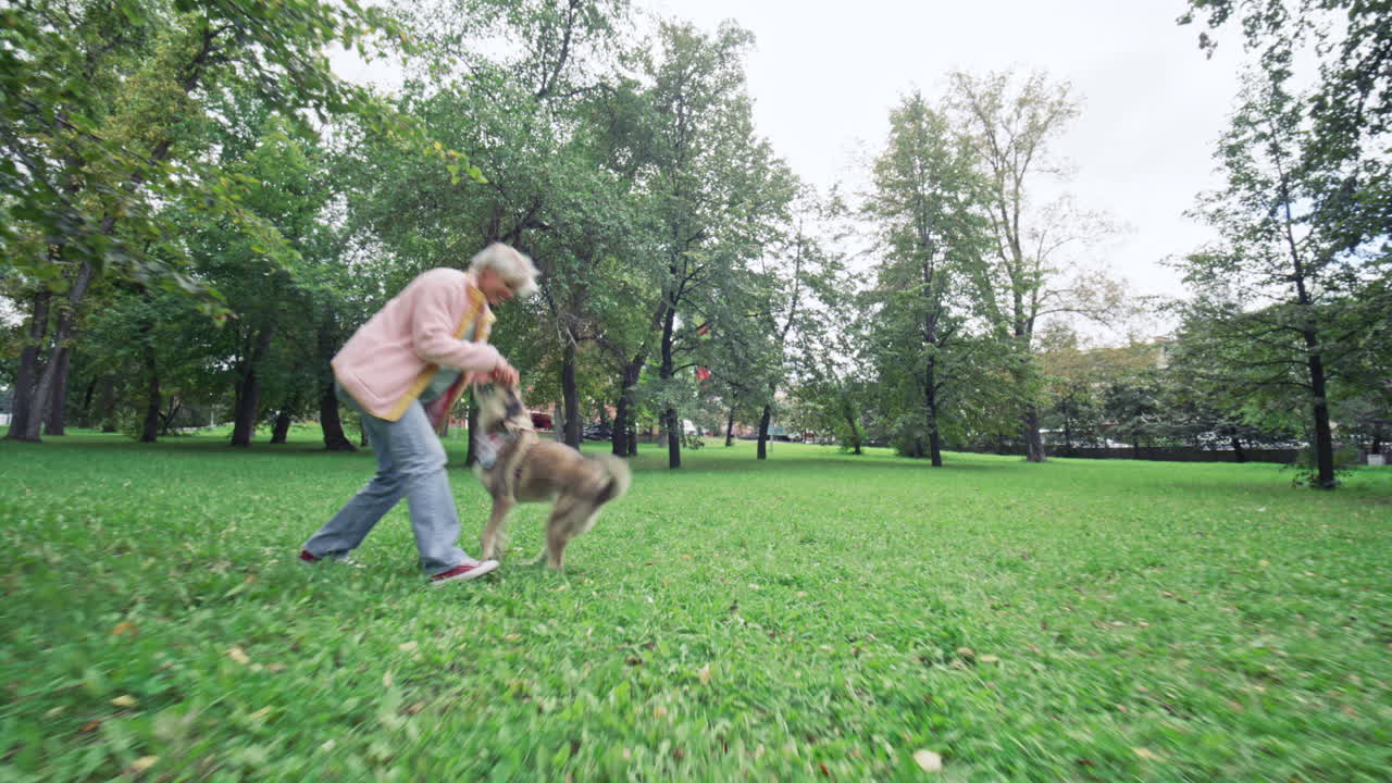 Energetic Dog Playing Tug-of-War with Female Owner in Public Park