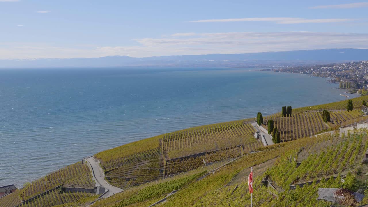 바람이 부는 날 라보 포도원과 스위스 국기 호수 레만(léman)을 배경으로 - 스위스