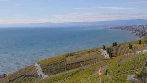 Lavaux-Weinberg-An-Einem-Windigen-Tag-Mit-Schweizer-Flagge,-Genfersee-Im-Hintergrund---Schweiz